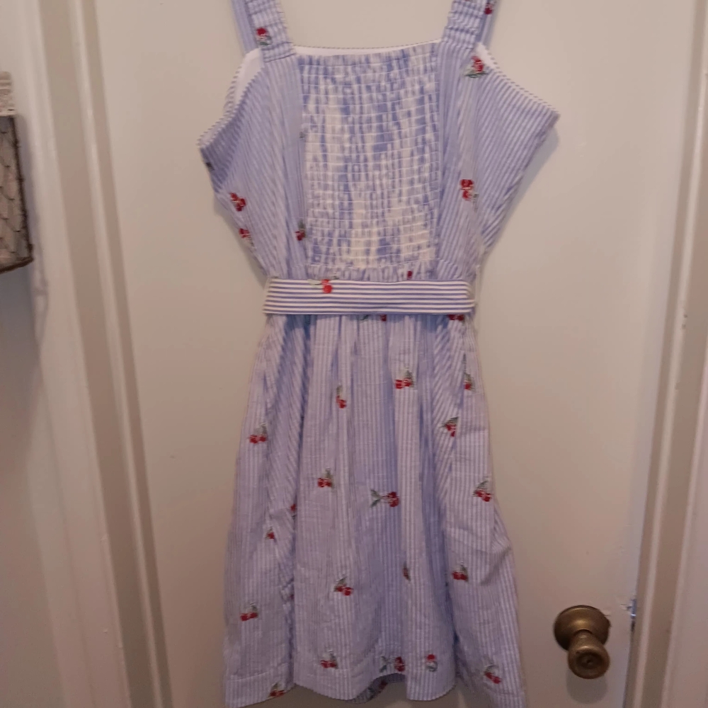 Draper James Blue and White Striped Dress with Red Floral Embroidery - Picture 6 of 6